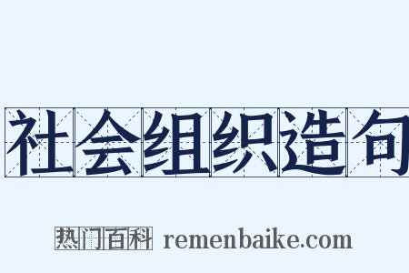 社会组织造句是什么意思的图片